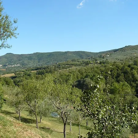 Il Ginepro شقة Paciano