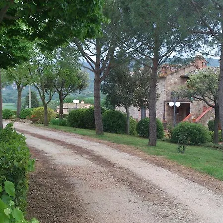 Il Ginepro *