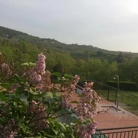Il Ginepro شقة Paciano