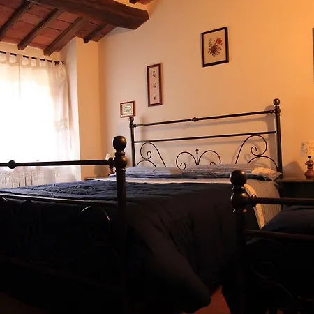 Il Ginepro *